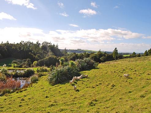 32A Garbolino Road, Mangawhai
