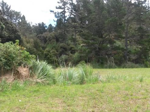 3201 State Highway 10, Mangonui