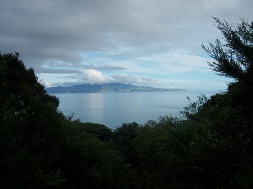 8 Te Rangitawhiri Road, Great Barrier Island