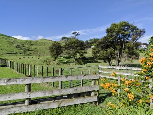 98 Kawakawa-orere Road, Kawakawa Bay