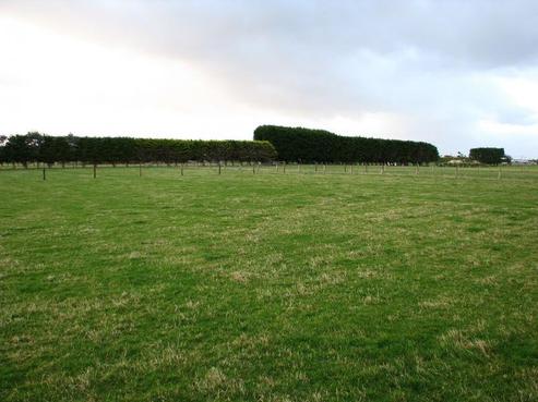 53 Wills Road, West Plains
