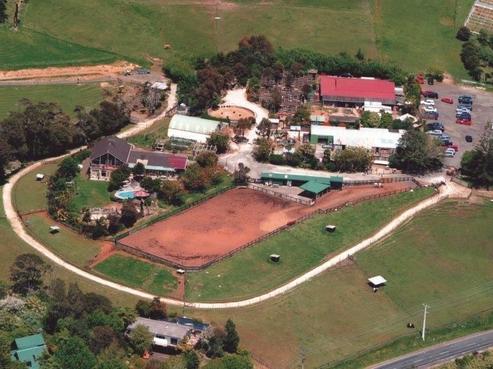 302 Henderson Valley Road, Henderson Valley