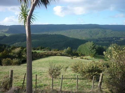 3344 State Highway 12, Dargaville Surrounds