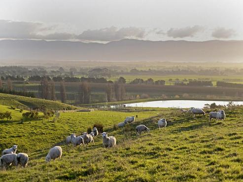 157 Sutherland Drive, Martinborough
