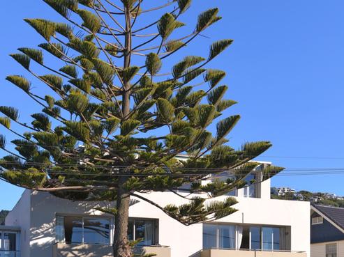 4/46 Esplanade, Sumner