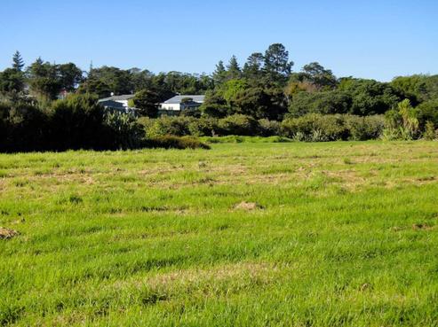 17 Waikohua Place, Ruakaka