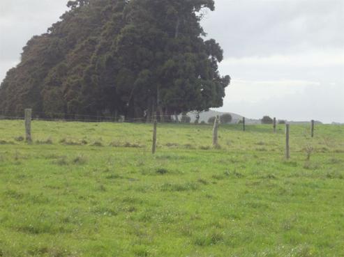 54 Taha Road, Waimauku