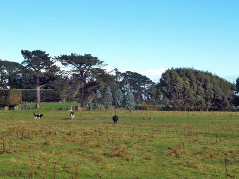 130 Boundary Road, Tisbury