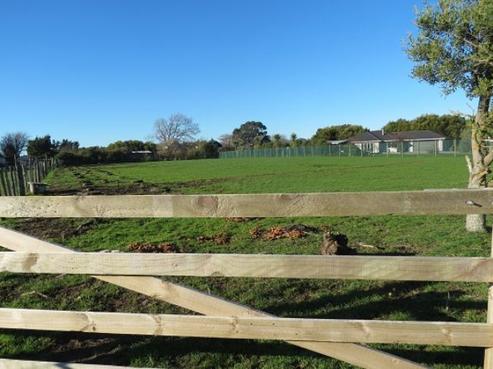 11 Ferry Road, Martinborough
