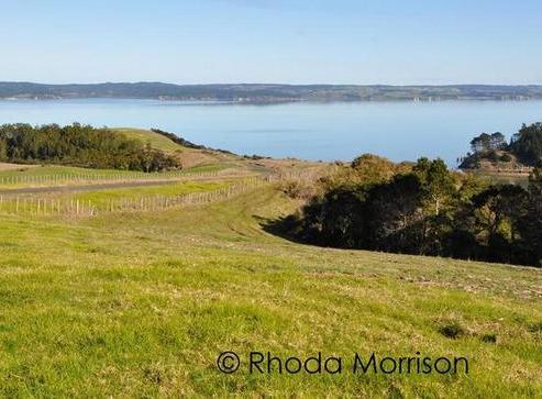 7 Te Wairoa Lane, Tinopai
