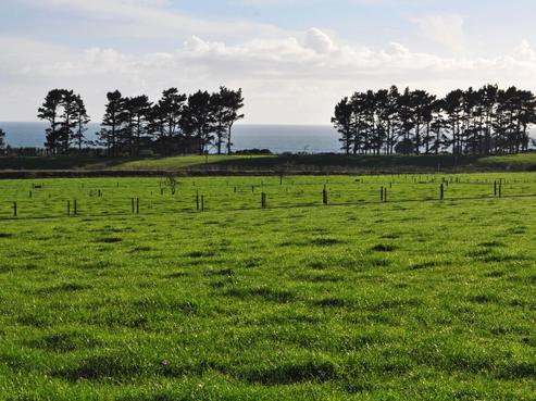 29 Ohanga Road, Onaero