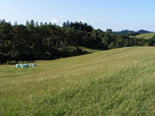 321 Mangamahoe Road, Otorohanga