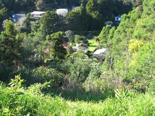 59 School Road, Paihia