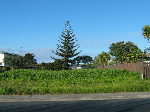 46 Shakespear Road, Army Bay