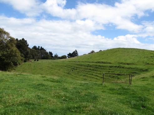 3 Cracroft Drive, Putiki