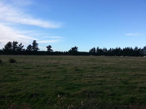 553 Sandy Knolls Road, West Melton