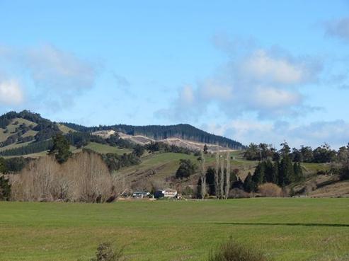 1172 Dovedale Road, Dovedale