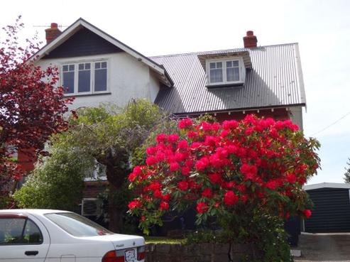 81 Beverley Road, Maori Hill