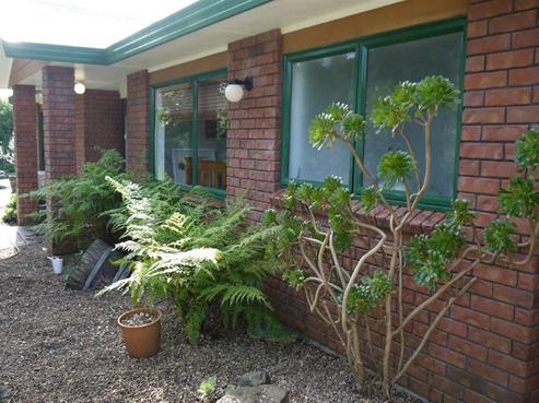 43 O'Connor Drive, Pukekohe