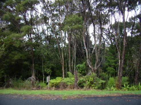 15 Ward Drive, Opua