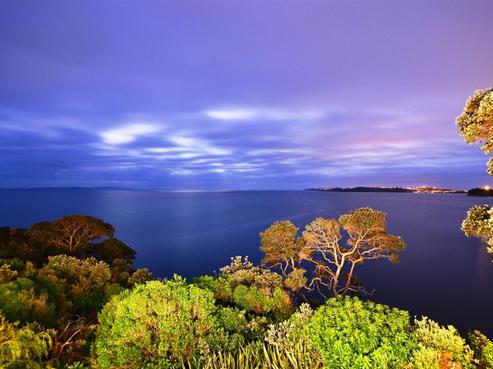 11 Duncansby Road, Stanmore Bay