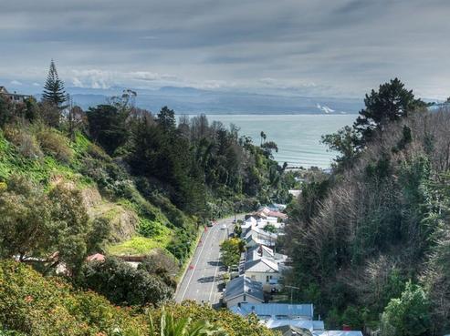 9 Fitzroy Road, Napier Hill