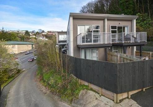 66E Maclaggan Street, Dunedin Central