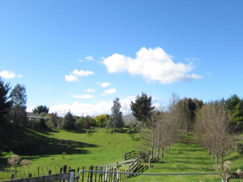 94 Greendale Drive, Otaihanga