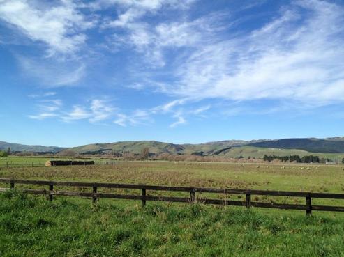 306 Glenmark Drive, Waipara