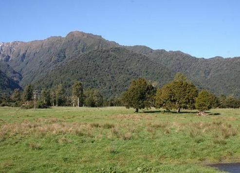 6D Potters Lane, Franz Josef Glacier