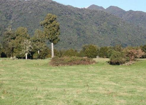 6B Potters Lane, Franz Josef Glacier