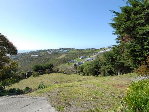 21A Selleck Street, Mount Pleasant