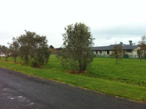 5 Maple Lane, Martinborough