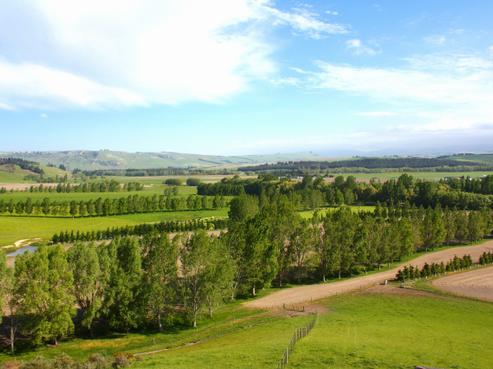 924 Pareora Gorge Road, Hadlow