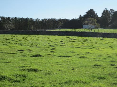 32 Austin Road, Maunu