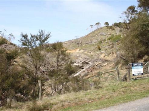 833 Rotohiwi Road, Central Hawkes Bay Country