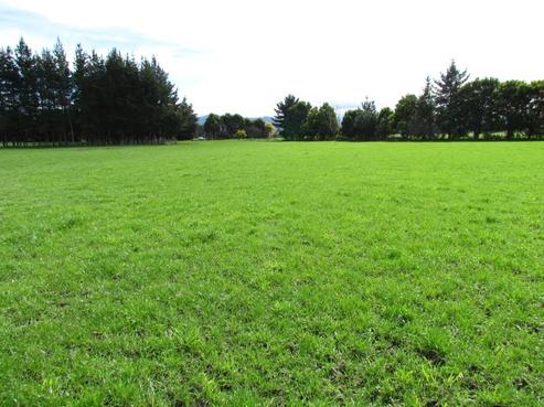 139 Bidwills Cutting Road, Greytown