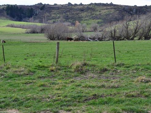 720 Moonlight Road, Middlemarch