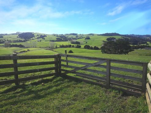 63 Poyner Road, Kaipara Flats