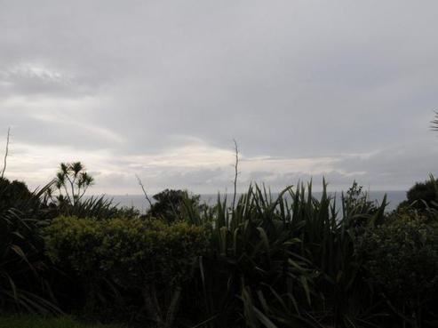 17 Dolphin Place, Tutukaka
