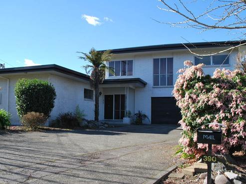 390 Pukehangi Road, Westbrook