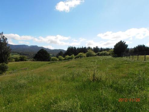 243 Thompsons Track, Aongatete