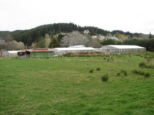 11 Berry Street, Kaitangata
