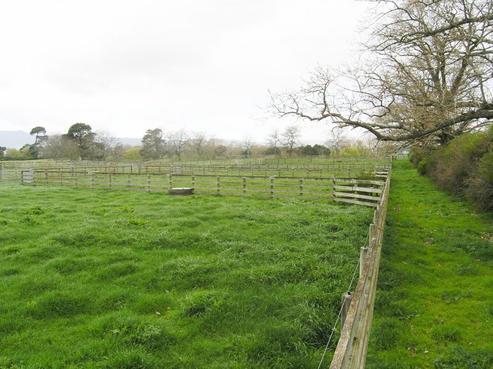 7971 State Highway 27, Matamata