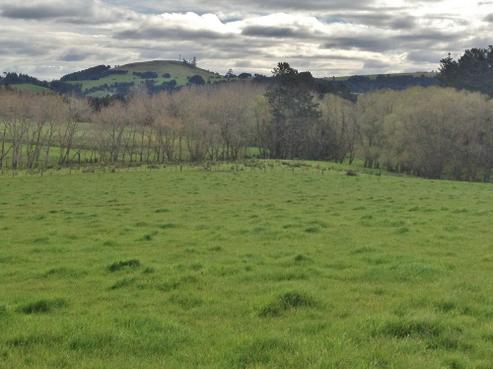 53 Golden Grove, Ruatangata