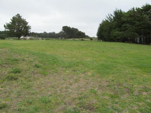 91 Bergin Road, Foxton