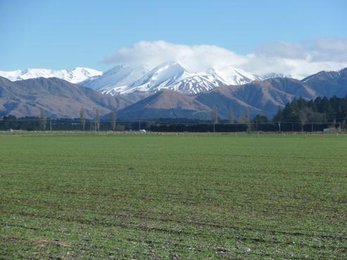 68 Racecourse Avenue, Methven