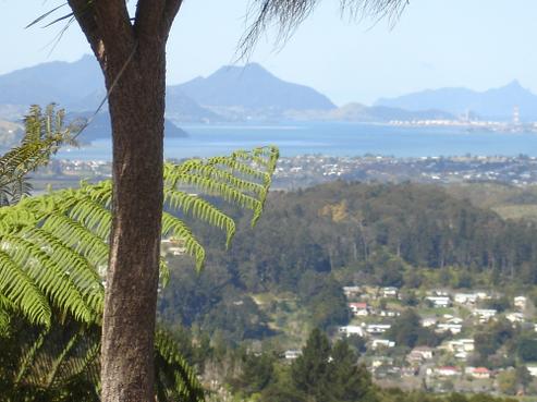 312 Maunu Road, Horahora