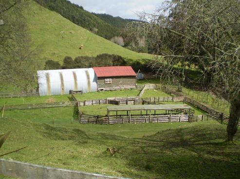 1926 Ongarue Stream Road, Waimiha-Ongarue