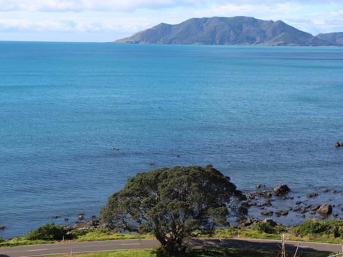 31 Otutehapari Road, Waihau Bay